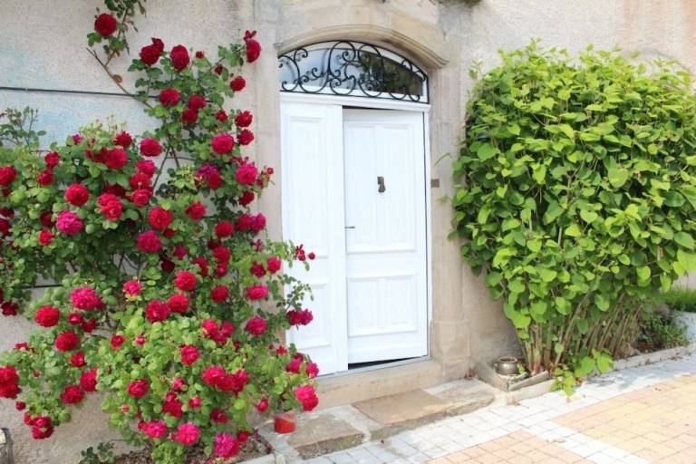 Bed and breakfast  Cassagnes-Bégonhès