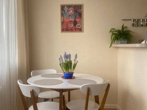 Apartmán Teplice