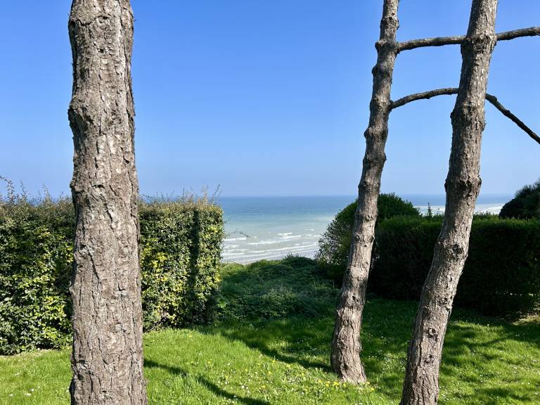 foto29
