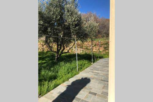 foto16