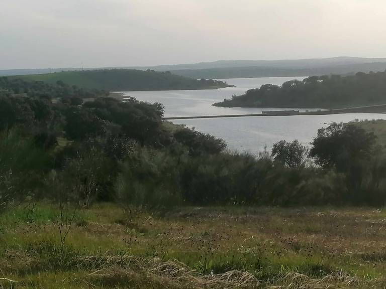 foto15