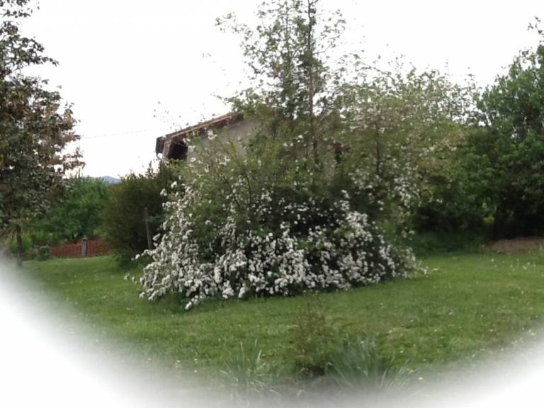 foto21