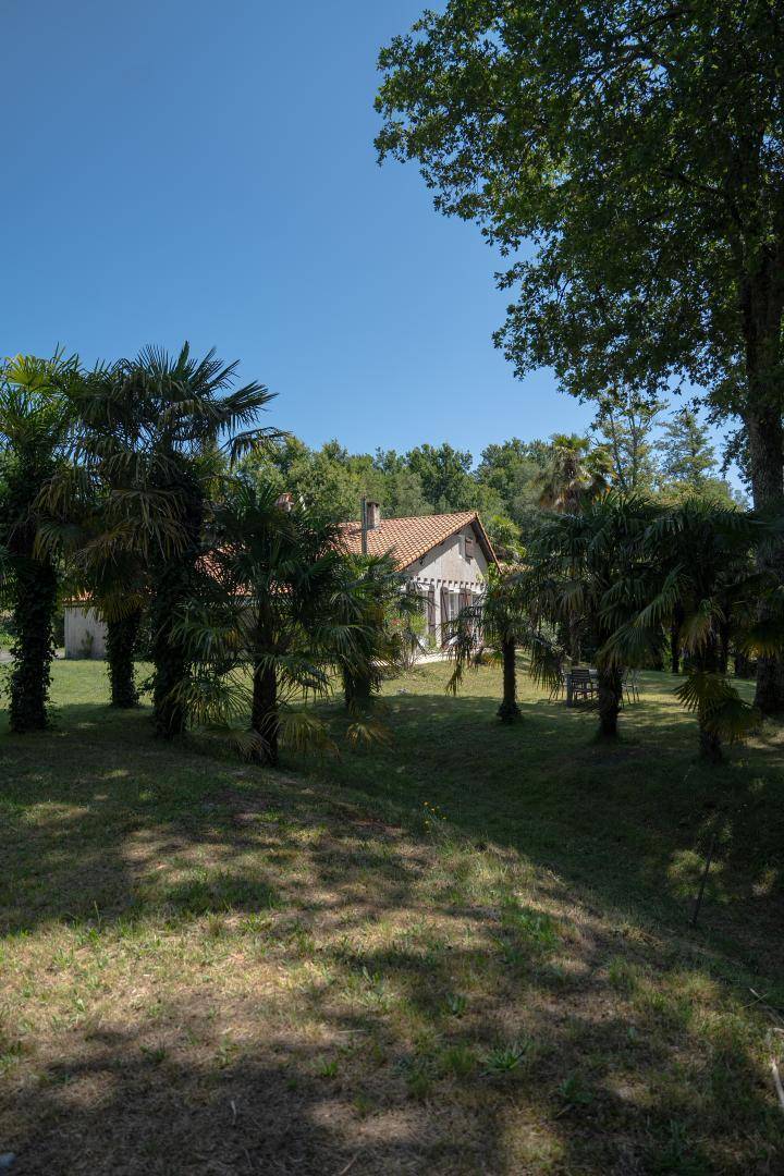 foto18