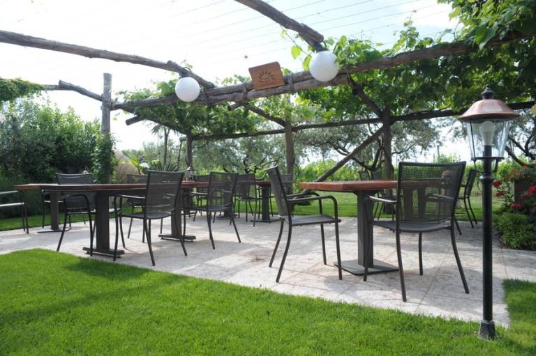 Sol de Montalto: Chardonnay — photo 2