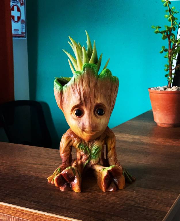 foto15