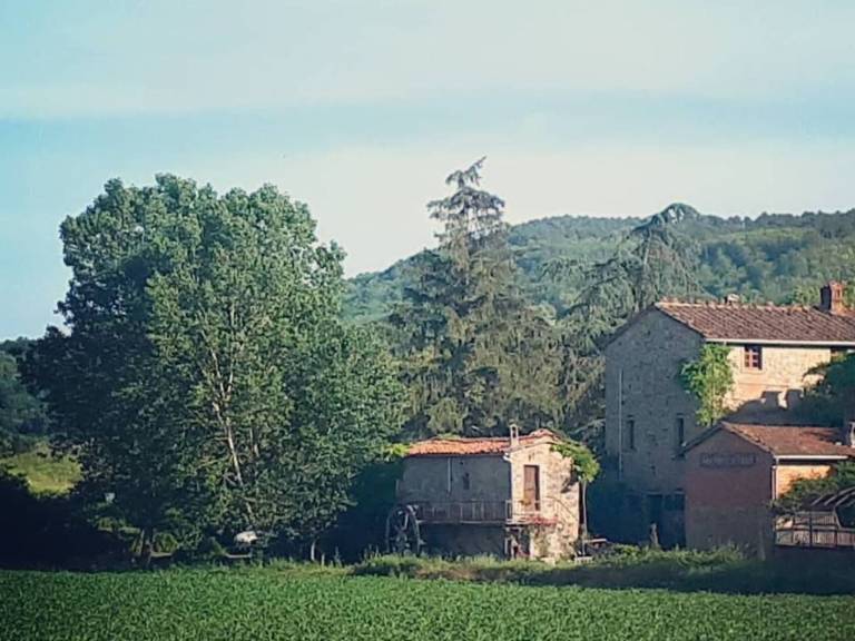 foto30
