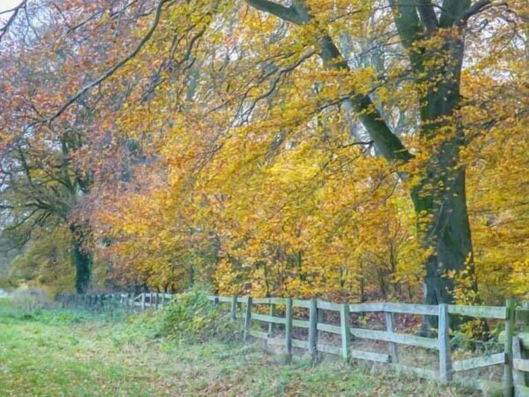 Cottage  Ebberston