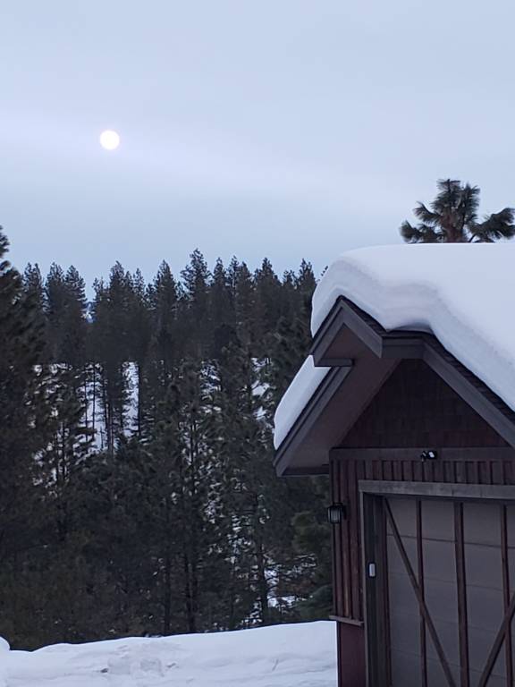 Cabin Tamarack
