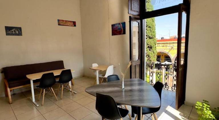 Holiday apartment with terrace | Pets are welcome — photo 5