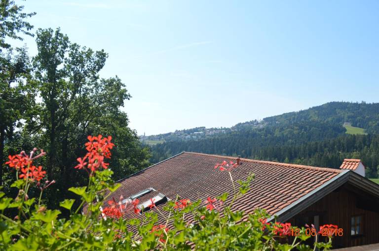 foto31