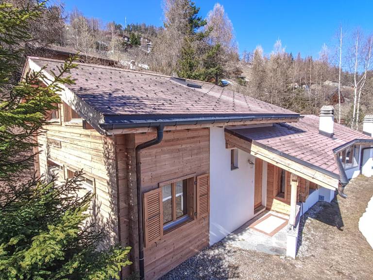 Ferienhaus mit Hund in Riddes, La Tzoumaz f&uuml;r max. 8 Personen