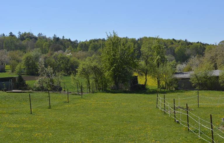 foto2