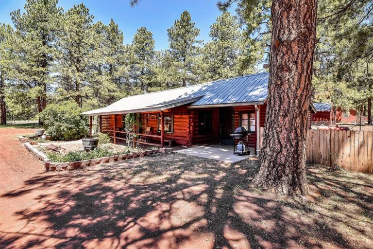 Cabin Parks