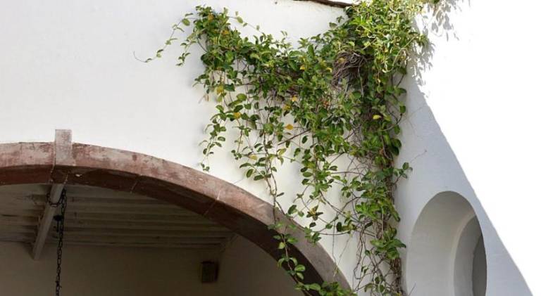 Casa de Los Olivos — photo 4