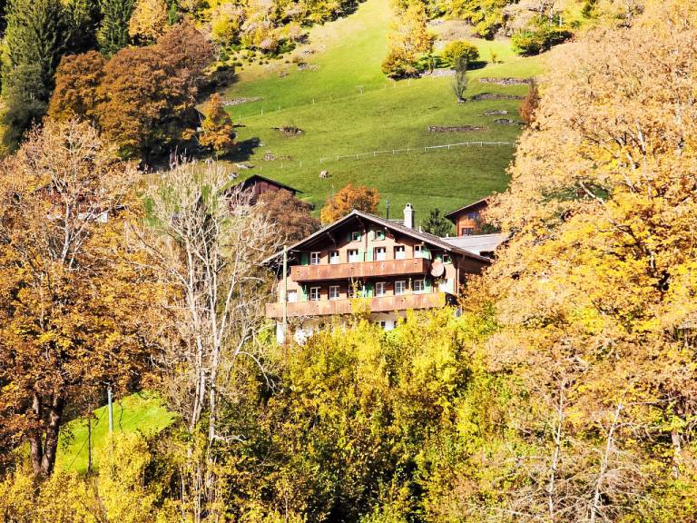 Ferienwohnung Grindelwald