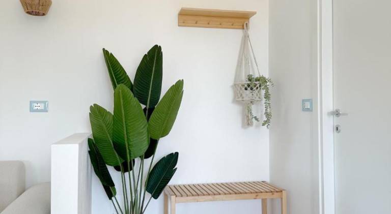 Holiday apartment | Dogs allowed — photo 4
