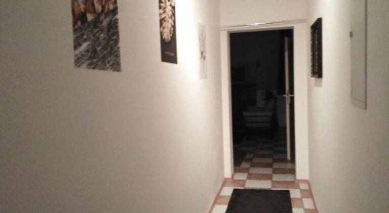 Apartment | Pets are welcome — photo 4