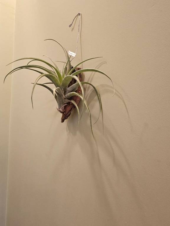 foto11