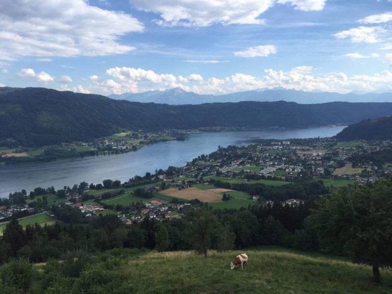 foto17