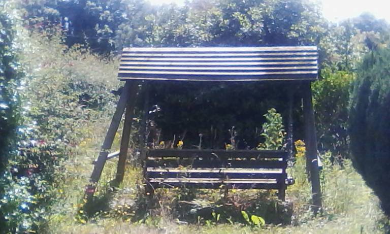 foto4