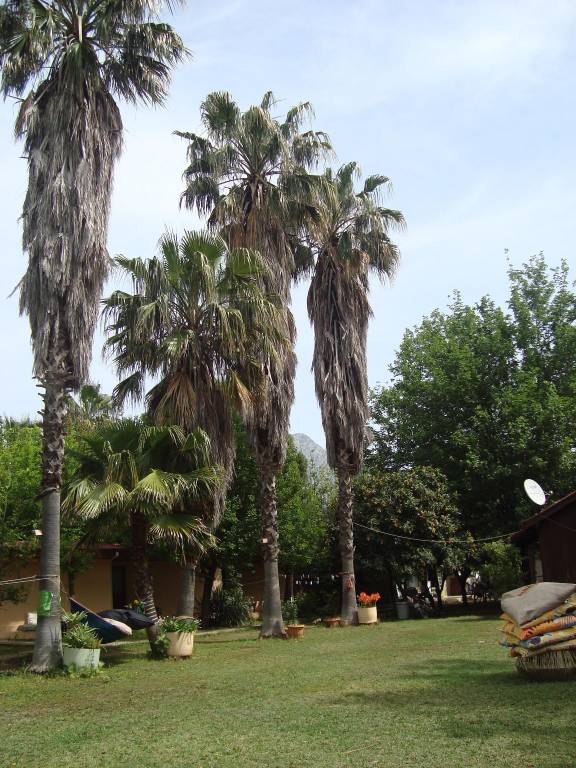 7 Garden Bungalow and Camping — photo 5