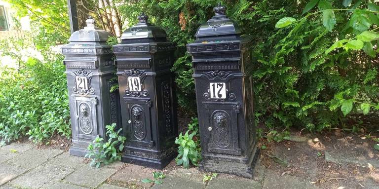 foto2