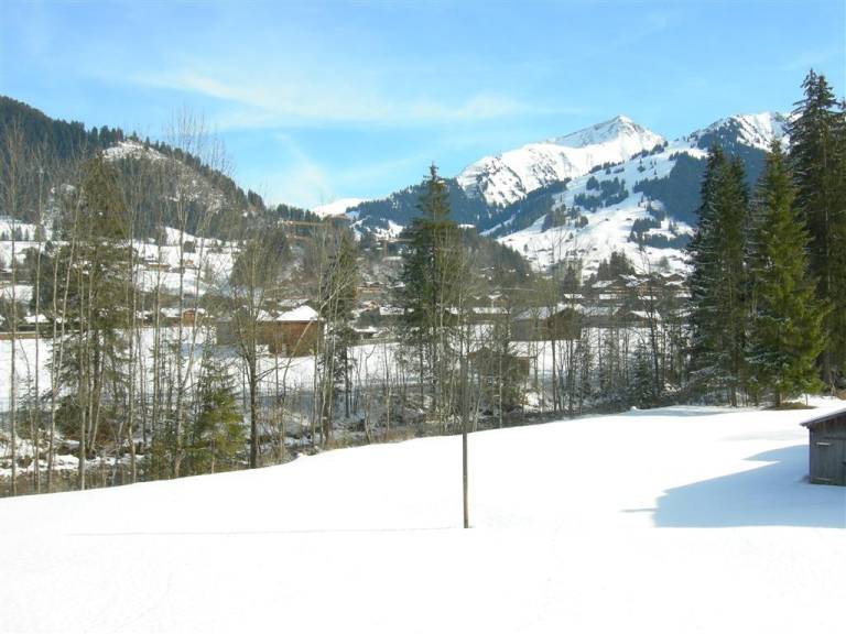 Ferienwohnung  Schönried