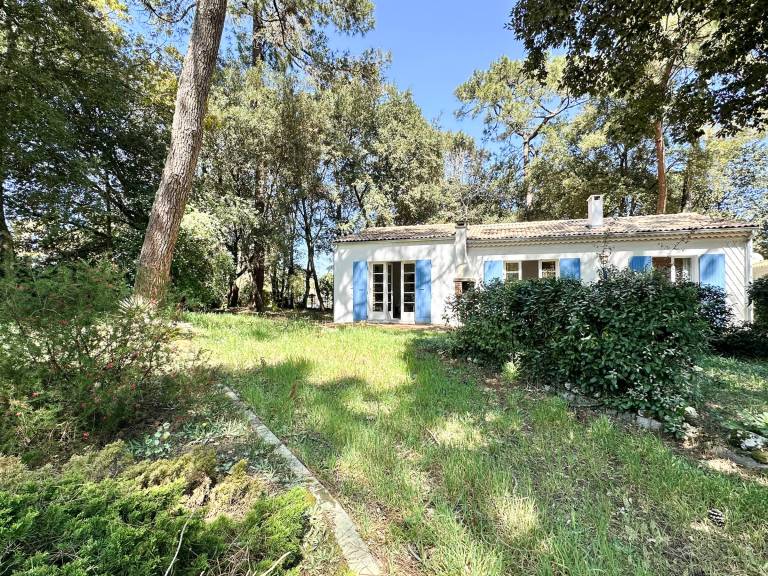 House La Palmyre