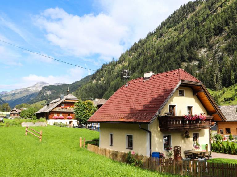 Ferienhaus Zederhaus
