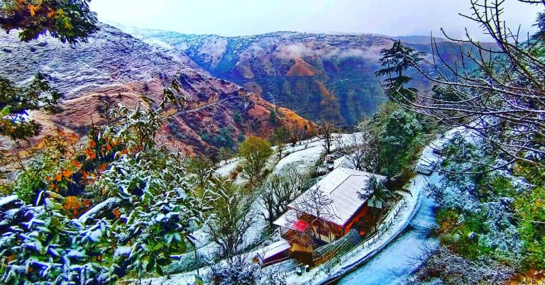 Chakrata green hotel and camping — photo 4