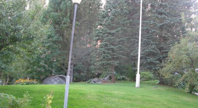 Lovely rental apartment | Pets allowed — photo 4