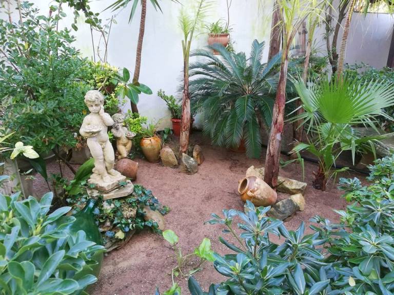 Apartment with yard | Next to the beach | Dogs allowed — photo 2