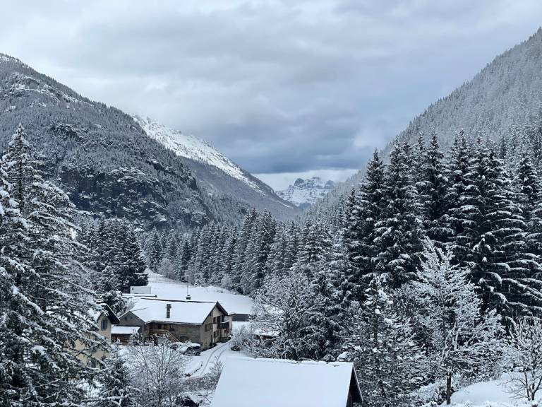 Appartement Vallorcine