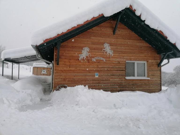 Ferienhaus in Schöfweg, Lalling für max. 5 Gäste Ferienhaus in Schöfweg, Lalling für max. 5 Gäste