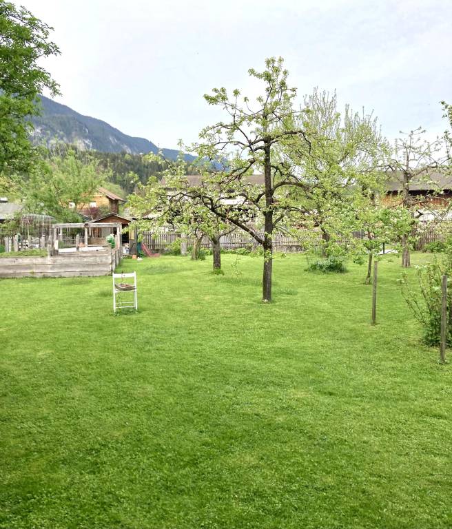 foto7