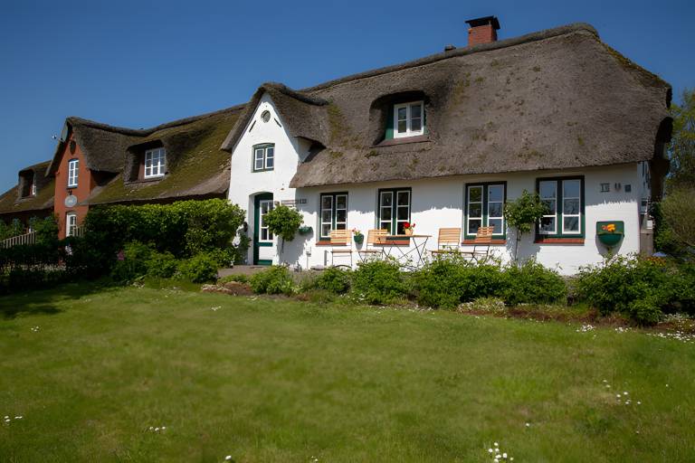 foto16