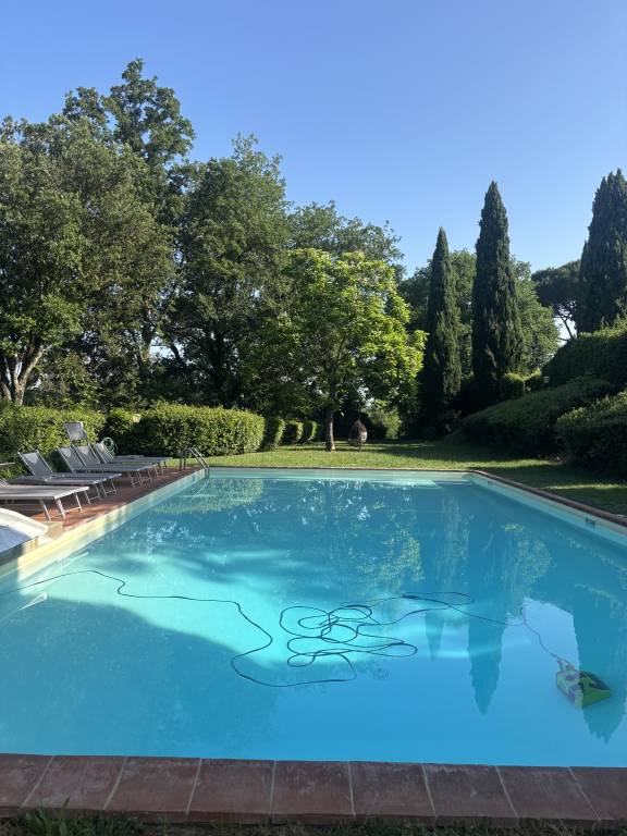 foto46