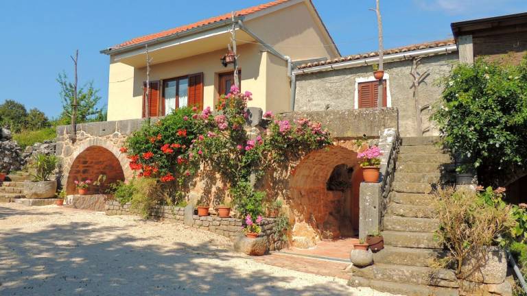 Apartman  Brzac