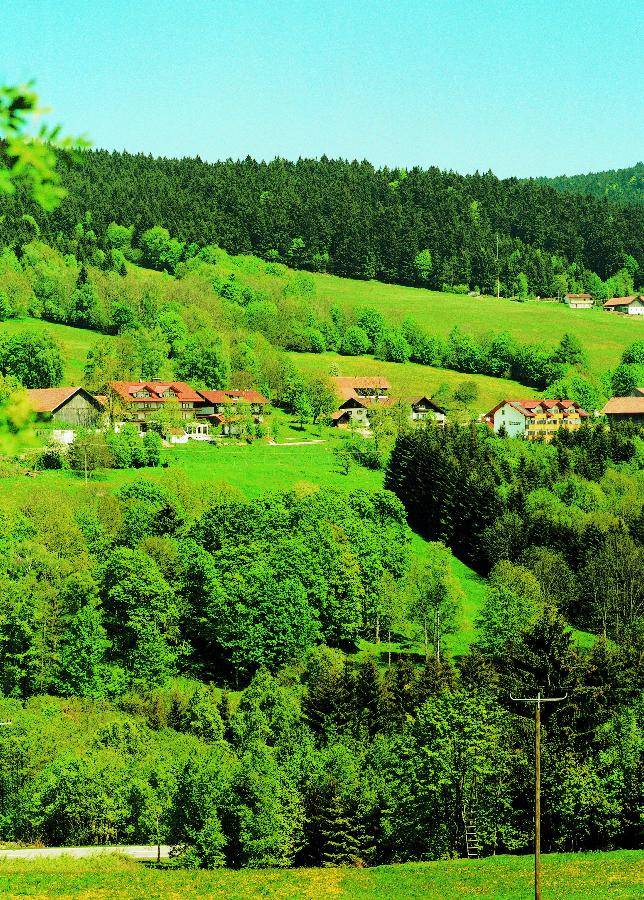 foto2