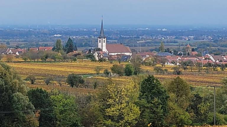 foto19