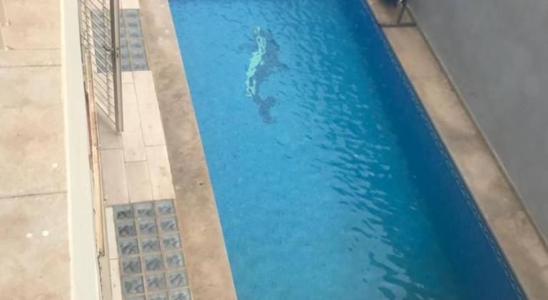Rental apartment with pool | Perfect for remote work in Casablanca
