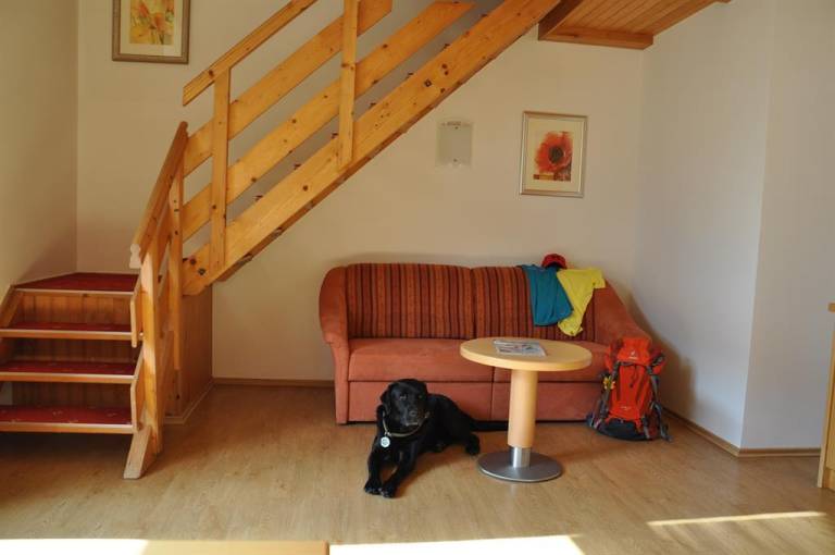 Ferienwohnung in Flachau,  für max. 4 Gäste
