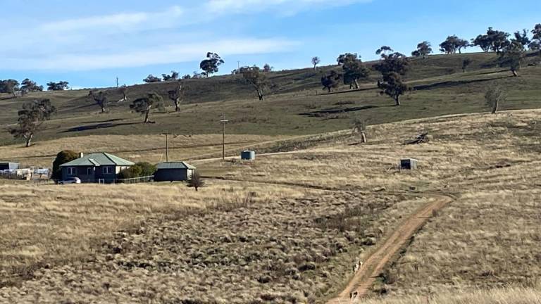 House Adaminaby