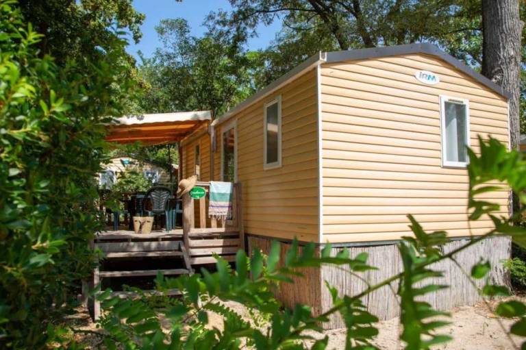 Camping-Unterkunft  Avignon