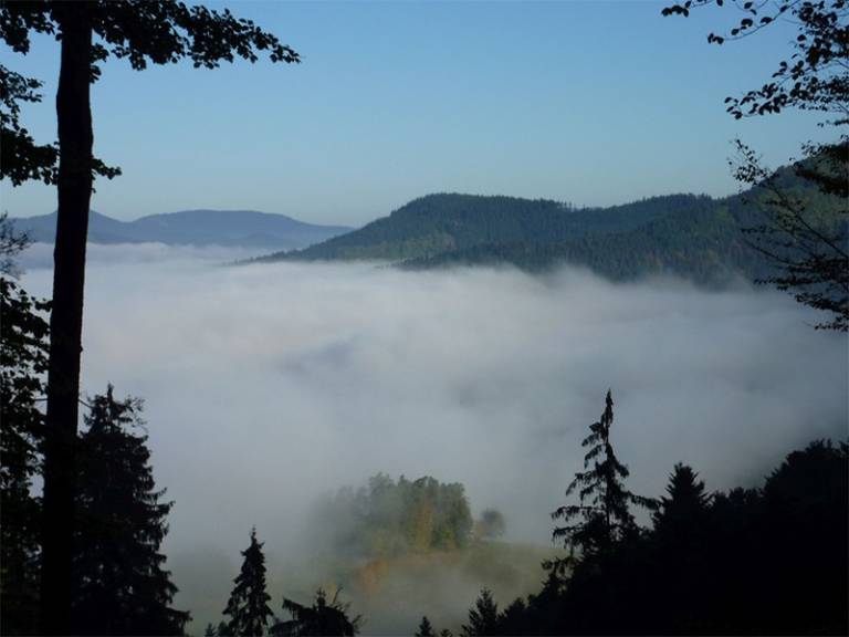 foto19