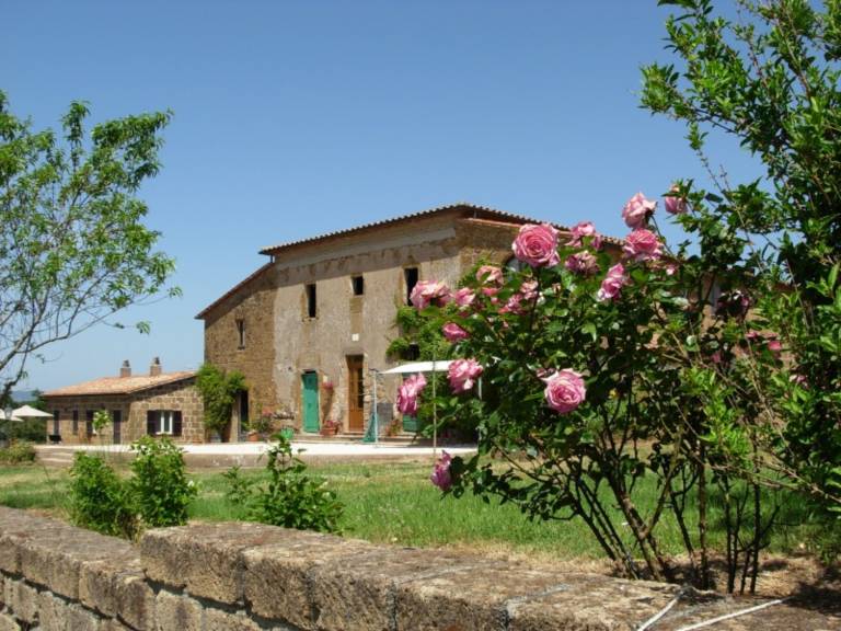 foto10