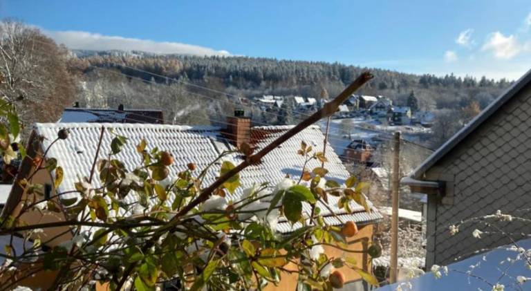 Vacation home | Pets allowed in Meiningen