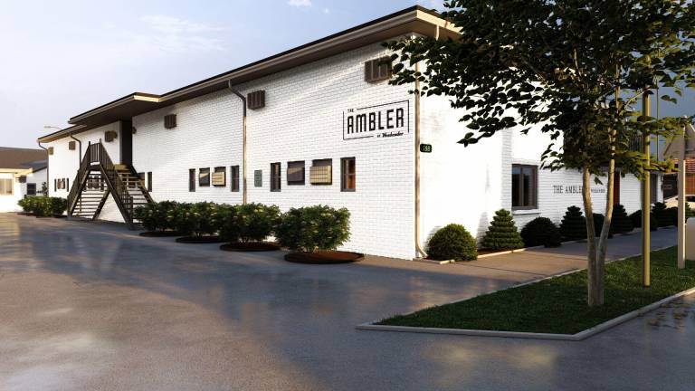 Ambler Hotel — photo 4