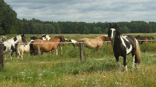 Bed & Breakfast Christdorf