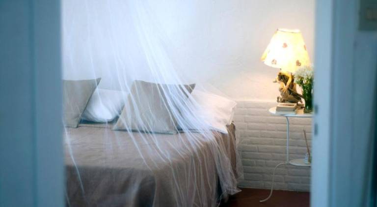 Vacation home | Pets are welcome in Palermo